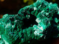Natural Silky Malachite Specimens x 2 From Kasompe, Congo - Toprock Gemstones and Minerals 
