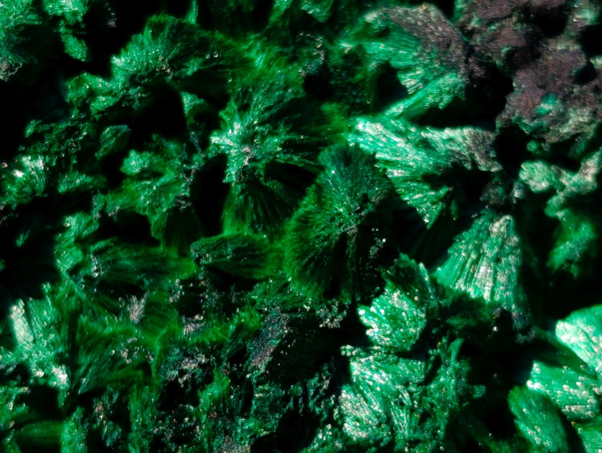 Natural Silky Malachite Specimens x 2 From Kasompe, Congo - Toprock Gemstones and Minerals 