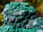 Natural Silky Malachite Specimens x 2 From Kasompe, Congo - Toprock Gemstones and Minerals 