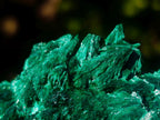 Natural Silky Malachite Specimens x 2 From Kasompe, Congo - Toprock Gemstones and Minerals 