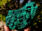 Natural Silky Malachite Specimens x 2 From Kasompe, Congo - Toprock Gemstones and Minerals 