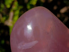 Polished Gemmy Rose Quartz Standing Display Pieces x 2 From Madagascar - Toprock Gemstones and Minerals 