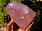 Polished Gemmy Rose Quartz Standing Display Pieces x 2 From Madagascar - Toprock Gemstones and Minerals 
