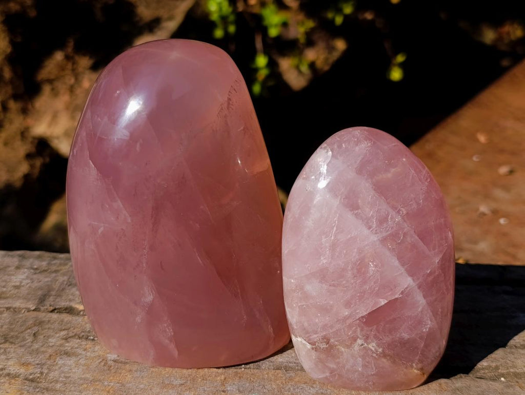 Polished Gemmy Rose Quartz Standing Display Pieces x 2 From Madagascar - Toprock Gemstones and Minerals 