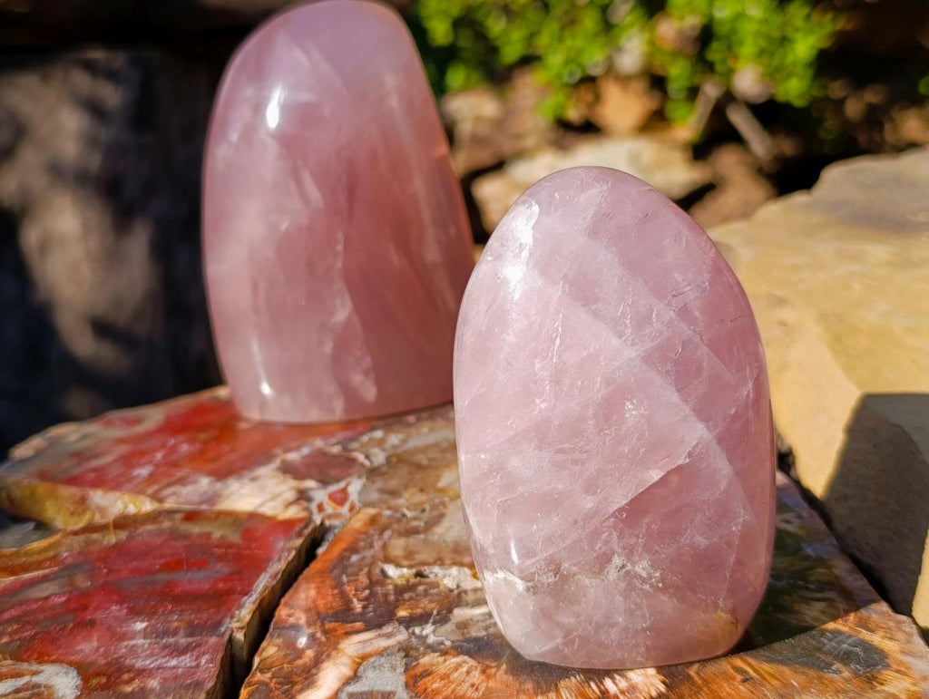 Polished Gemmy Rose Quartz Standing Display Pieces x 2 From Madagascar - Toprock Gemstones and Minerals 