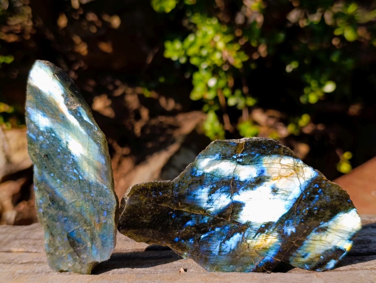 Polished One Side Labradorite Slices x 12 From Madagascar - Toprock Gemstones and Minerals 