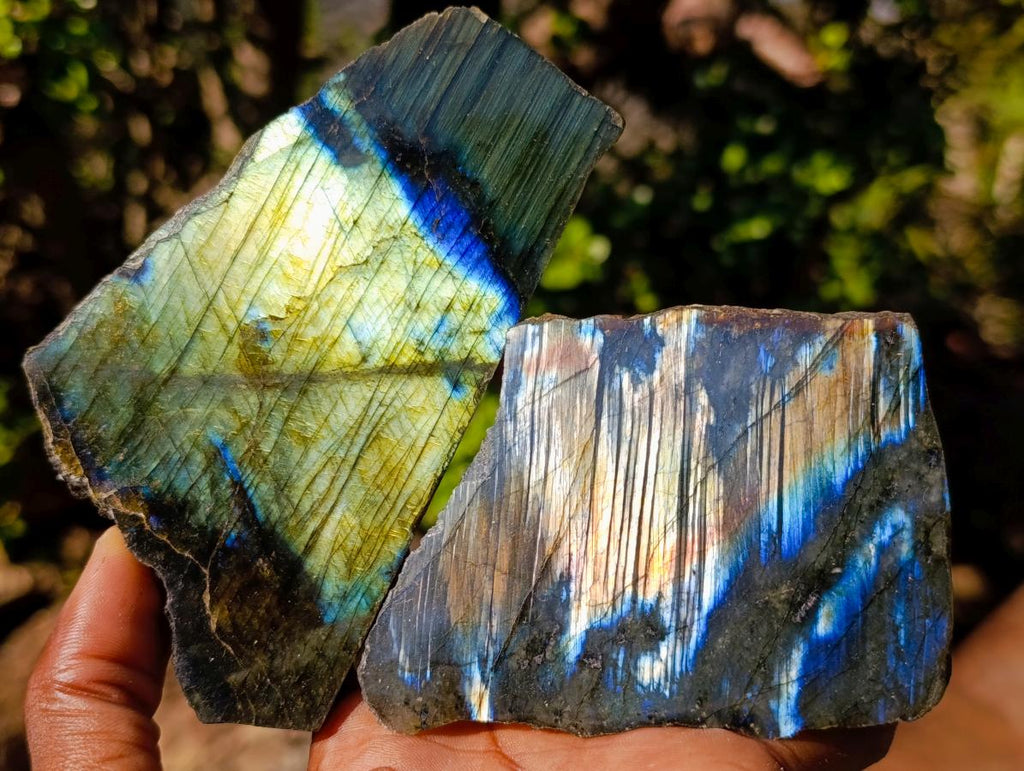 Polished One Side Labradorite Slices x 12 From Madagascar - Toprock Gemstones and Minerals 