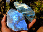 Polished One Side Labradorite Slices x 12 From Madagascar - Toprock Gemstones and Minerals 