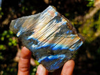 Polished One Side Labradorite Slices x 12 From Madagascar - Toprock Gemstones and Minerals 
