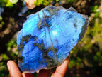 Polished One Side Labradorite Slices x 12 From Madagascar - Toprock Gemstones and Minerals 