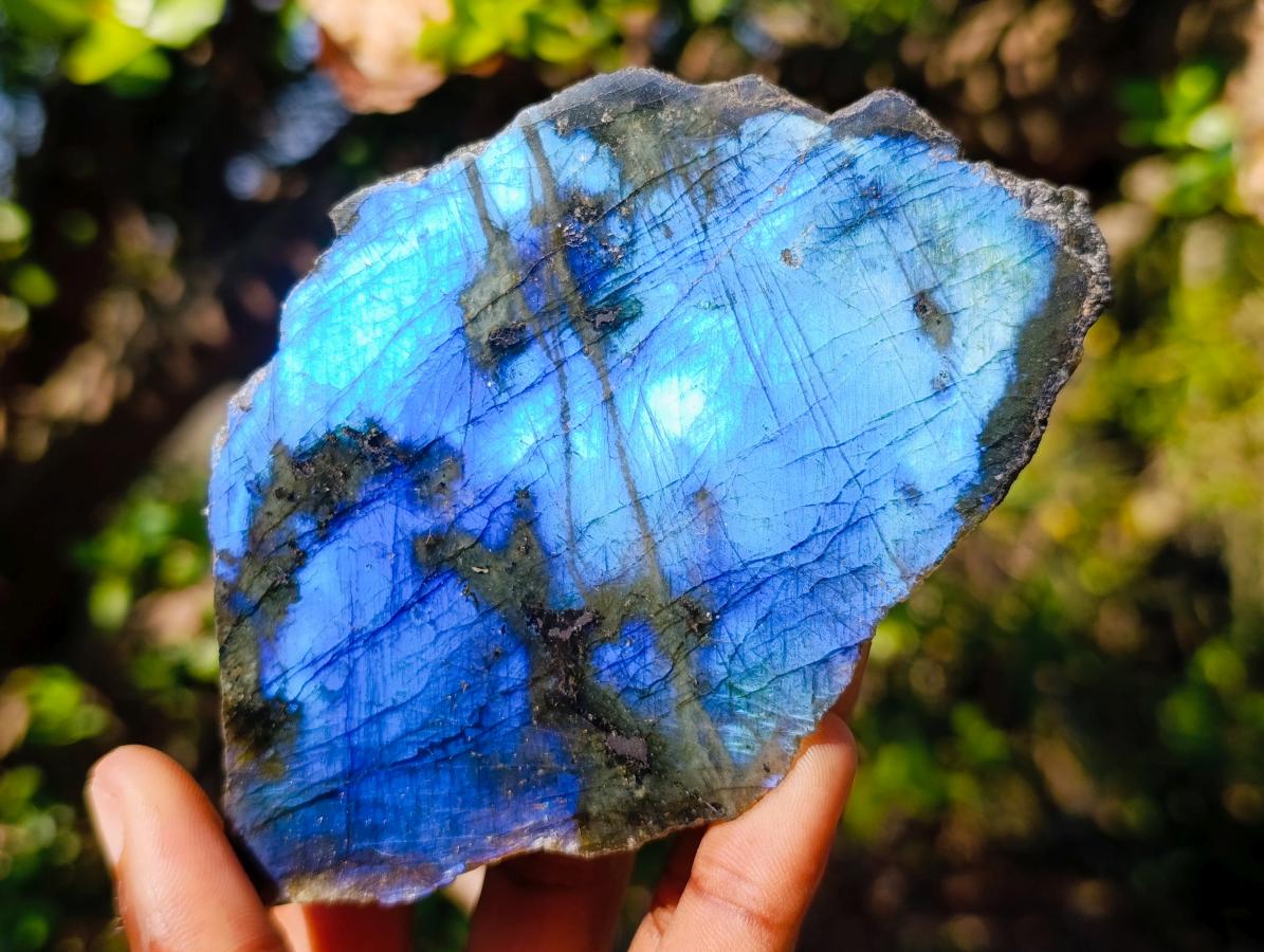 Polished One Side Labradorite Slices x 12 From Madagascar - Toprock Gemstones and Minerals 