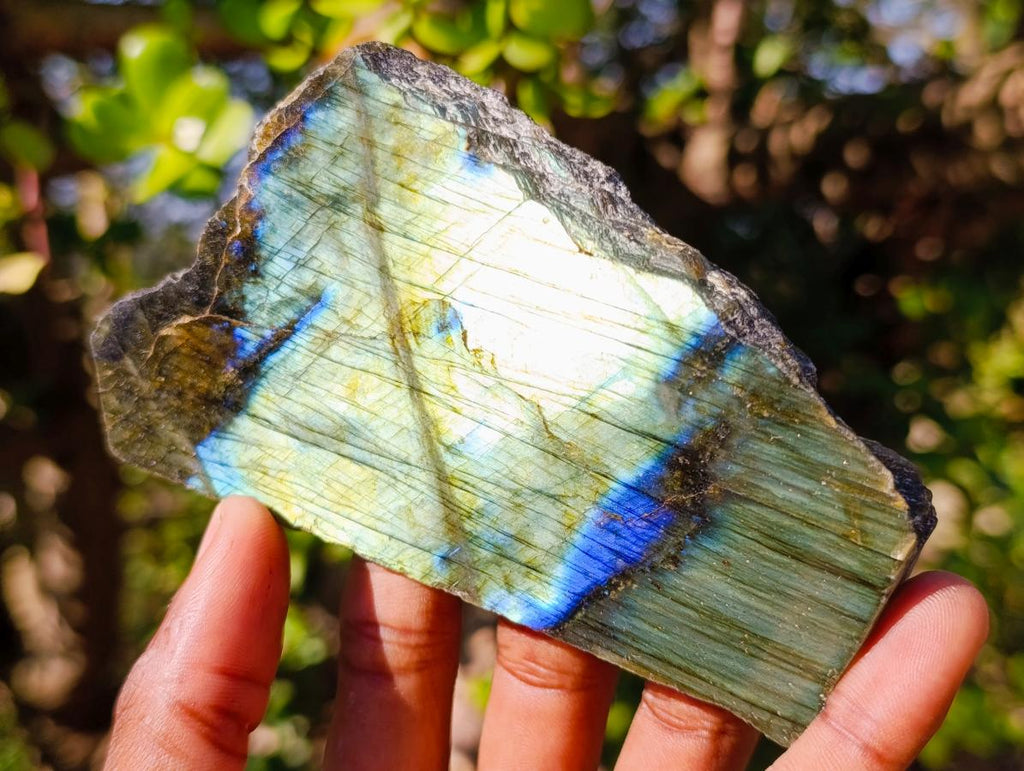 Polished One Side Labradorite Slices x 12 From Madagascar - Toprock Gemstones and Minerals 