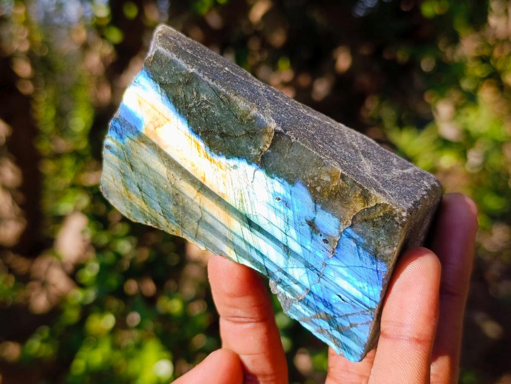 Polished One Side Labradorite Slices x 12 From Madagascar - Toprock Gemstones and Minerals 
