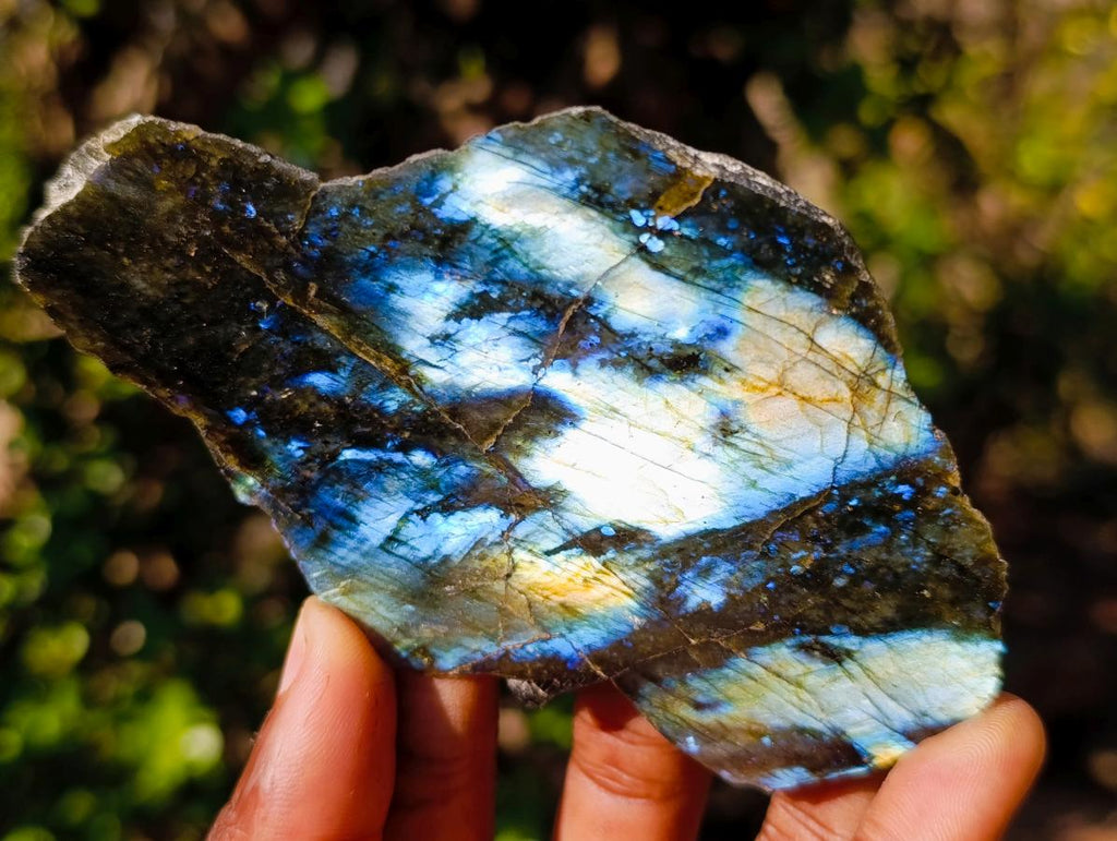 Polished One Side Labradorite Slices x 12 From Madagascar - Toprock Gemstones and Minerals 