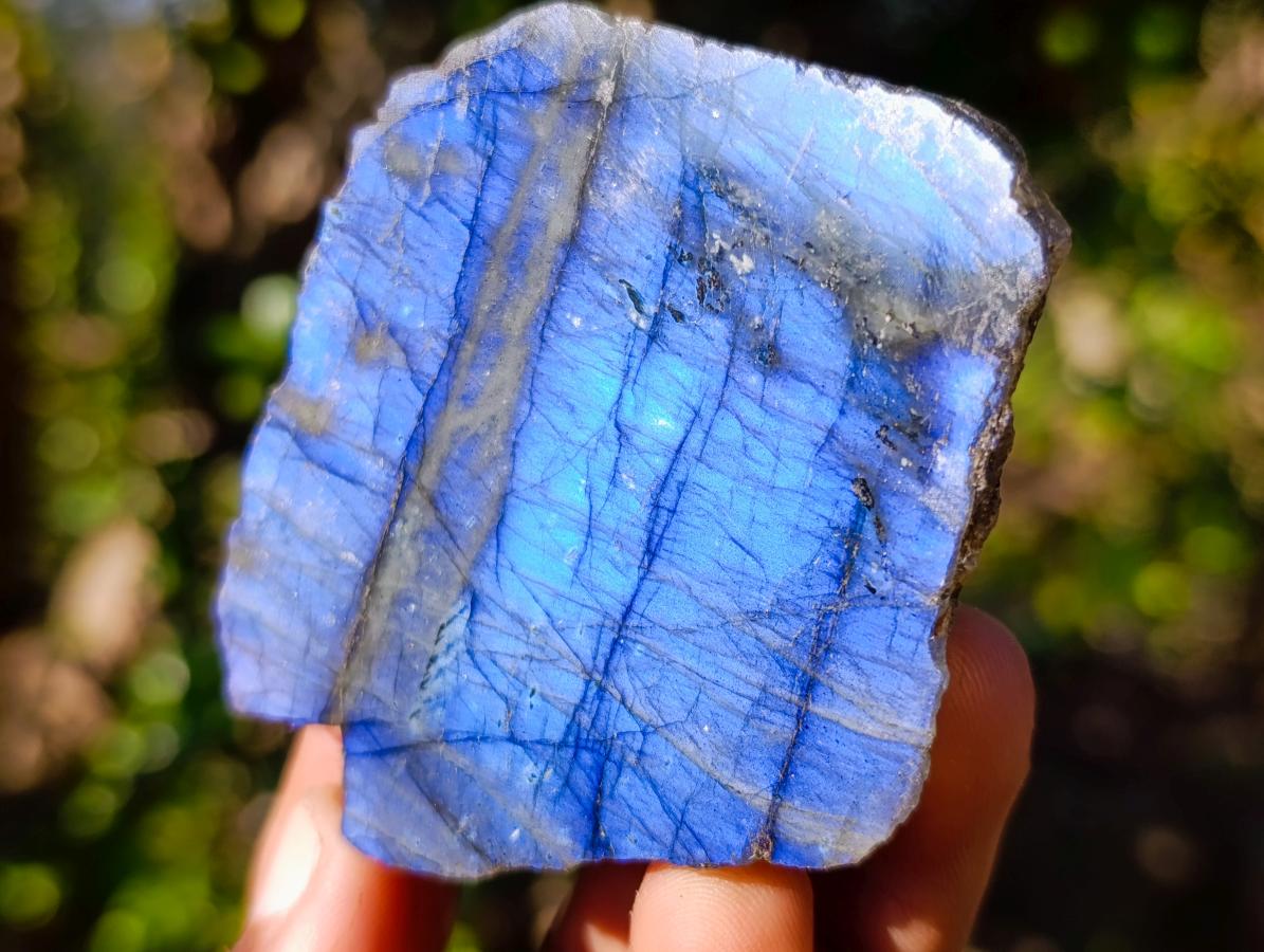 Polished One Side Labradorite Slices x 12 From Madagascar - Toprock Gemstones and Minerals 