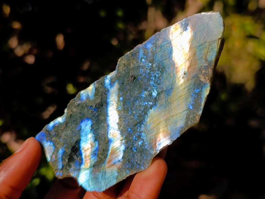 Polished One Side Labradorite Slices x 12 From Madagascar - Toprock Gemstones and Minerals 