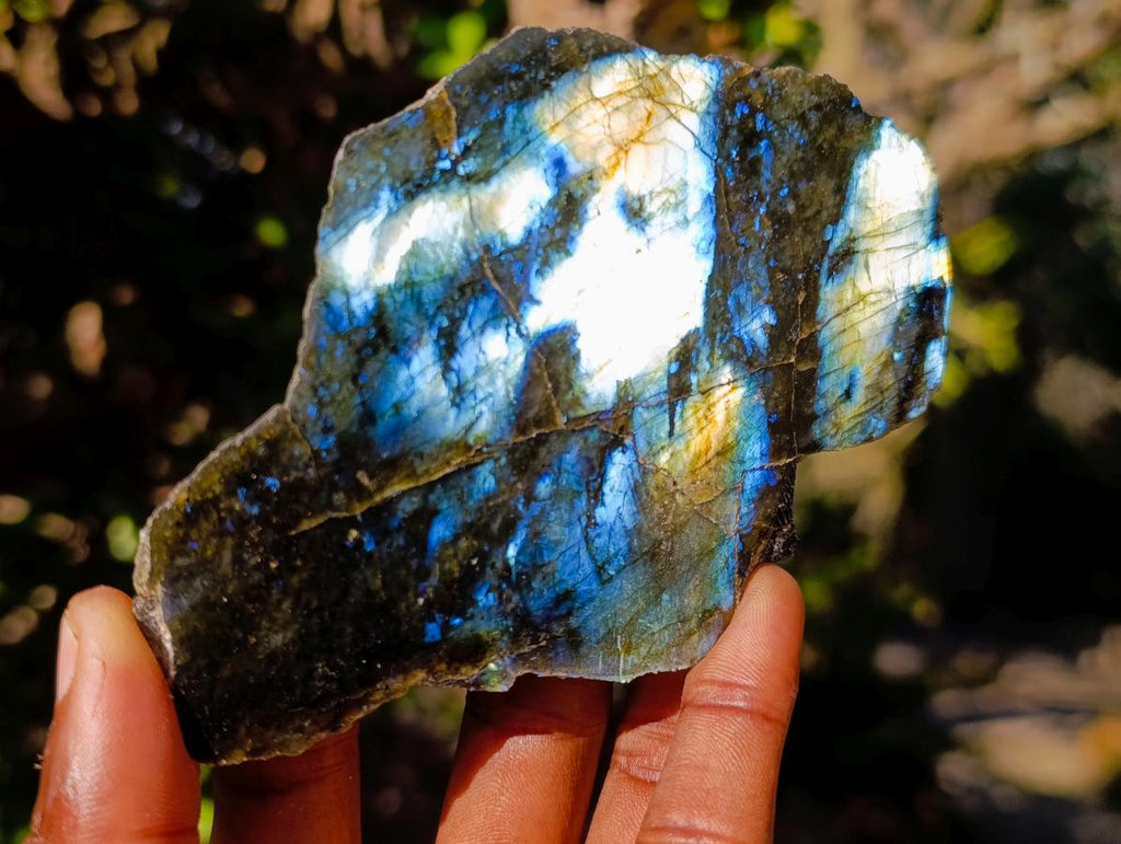 Polished One Side Labradorite Slices x 12 From Madagascar - Toprock Gemstones and Minerals 