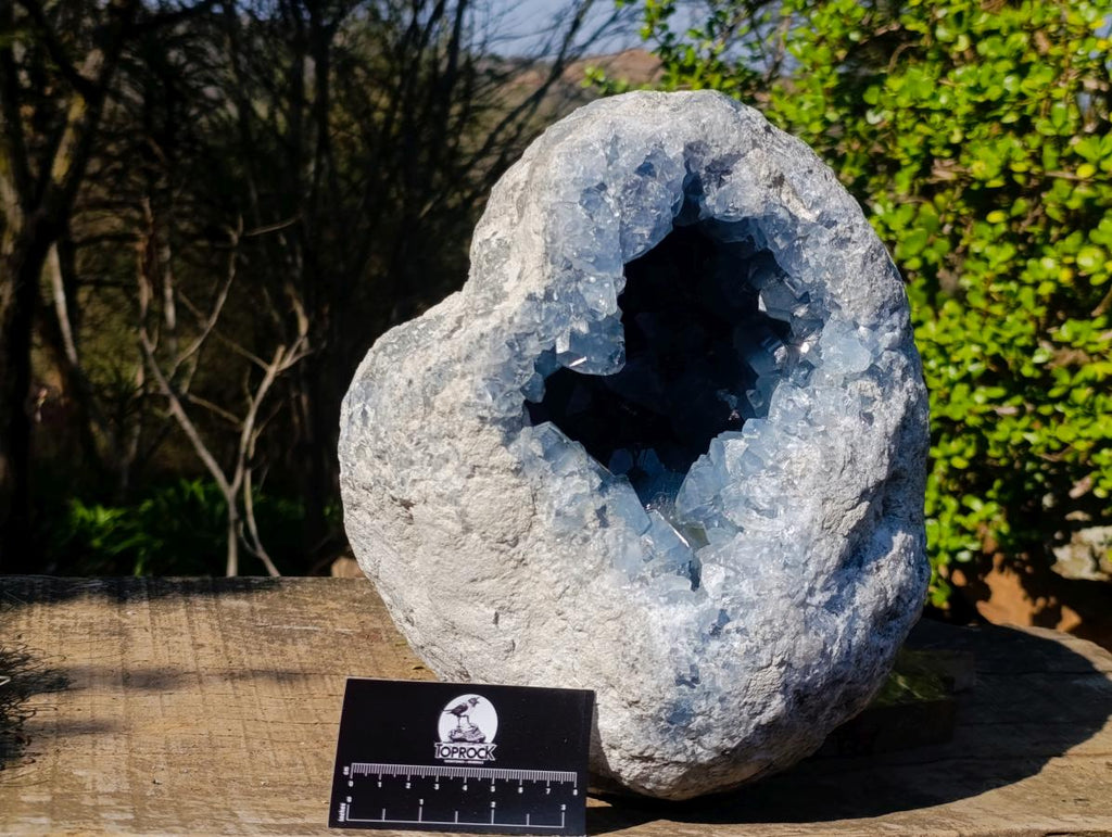 Natural XL Blue Celestite Geode Specimen x 1 From Sakoany, Madagascar - Toprock Gemstones and Minerals 