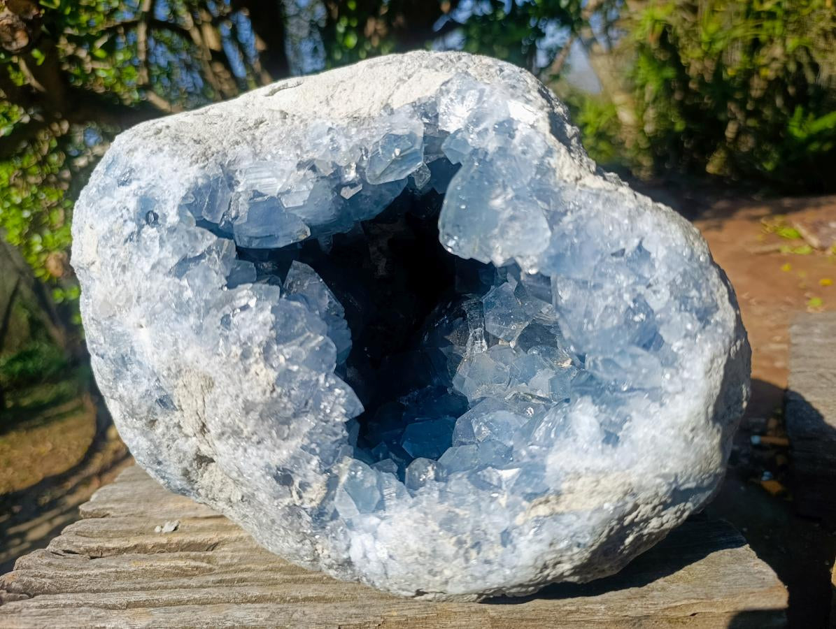 Natural XL Blue Celestite Geode Specimen x 1 From Sakoany, Madagascar - Toprock Gemstones and Minerals 