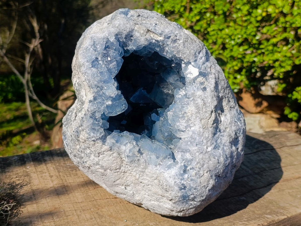 Natural XL Blue Celestite Geode Specimen x 1 From Sakoany, Madagascar - Toprock Gemstones and Minerals 