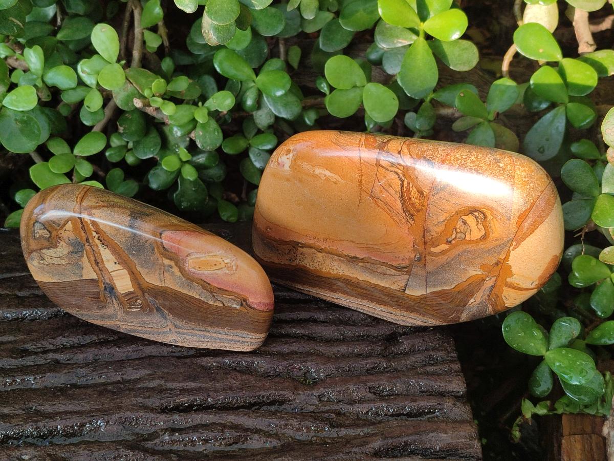 Polished Picture Stone Jasper Standing Display Pieces x 2 From Ais-Ais, Namibia - Toprock Gemstones and Minerals 