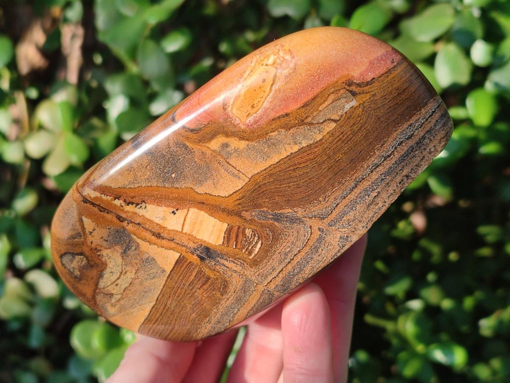 Polished Picture Stone Jasper Standing Display Pieces x 2 From Ais-Ais, Namibia - Toprock Gemstones and Minerals 