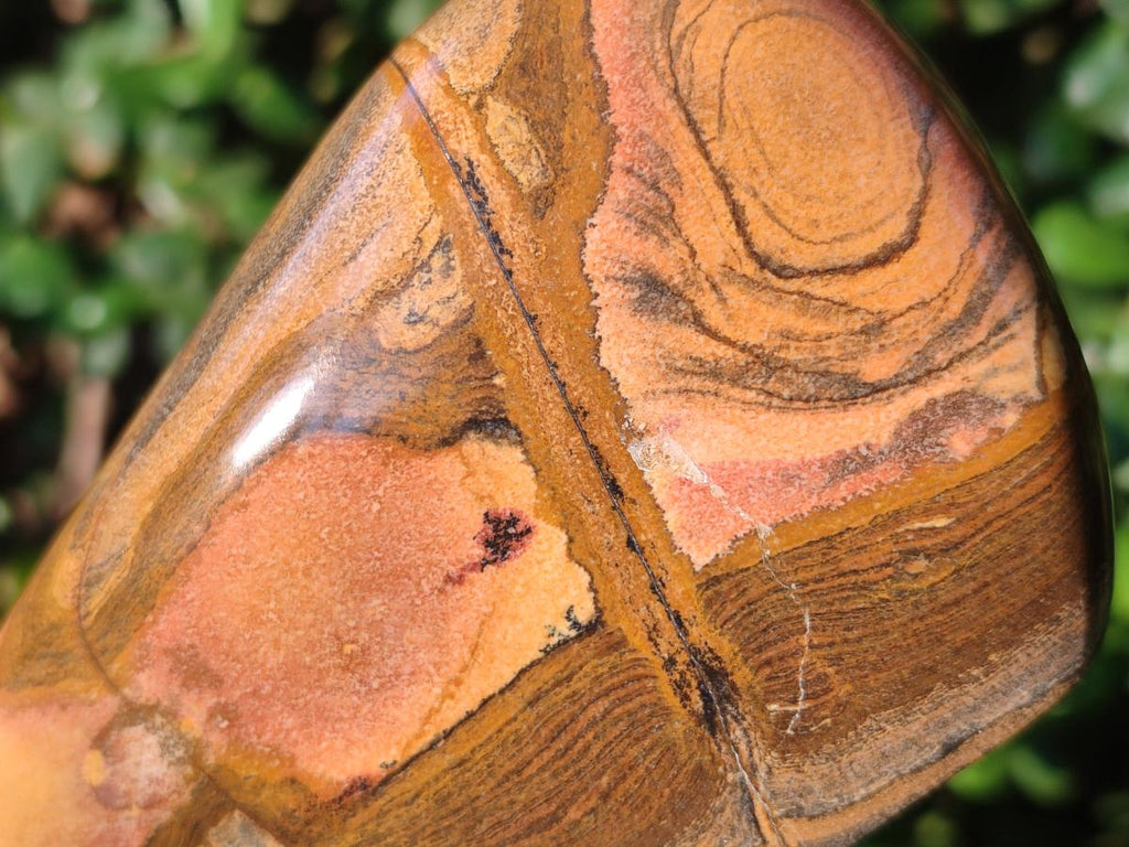 Polished Picture Stone Jasper Standing Display Pieces x 2 From Ais-Ais, Namibia - Toprock Gemstones and Minerals 