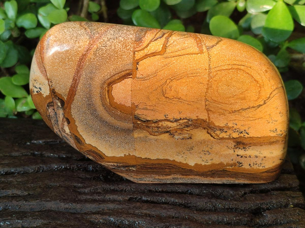 Polished Picture Stone Jasper Standing Display Pieces x 2 From Ais-Ais, Namibia - Toprock Gemstones and Minerals 
