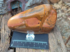 Polished Picture Stone Jasper Standing Display Pieces x 2 From Ais-Ais, Namibia - Toprock Gemstones and Minerals 