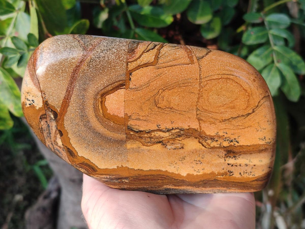 Polished Picture Stone Jasper Standing Display Pieces x 2 From Ais-Ais, Namibia - Toprock Gemstones and Minerals 