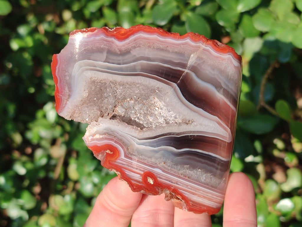 Polished One Side Red Shashe River Agate Nodules x 5 From Shashe River, Zimbabwe - Toprock Gemstones and Minerals 