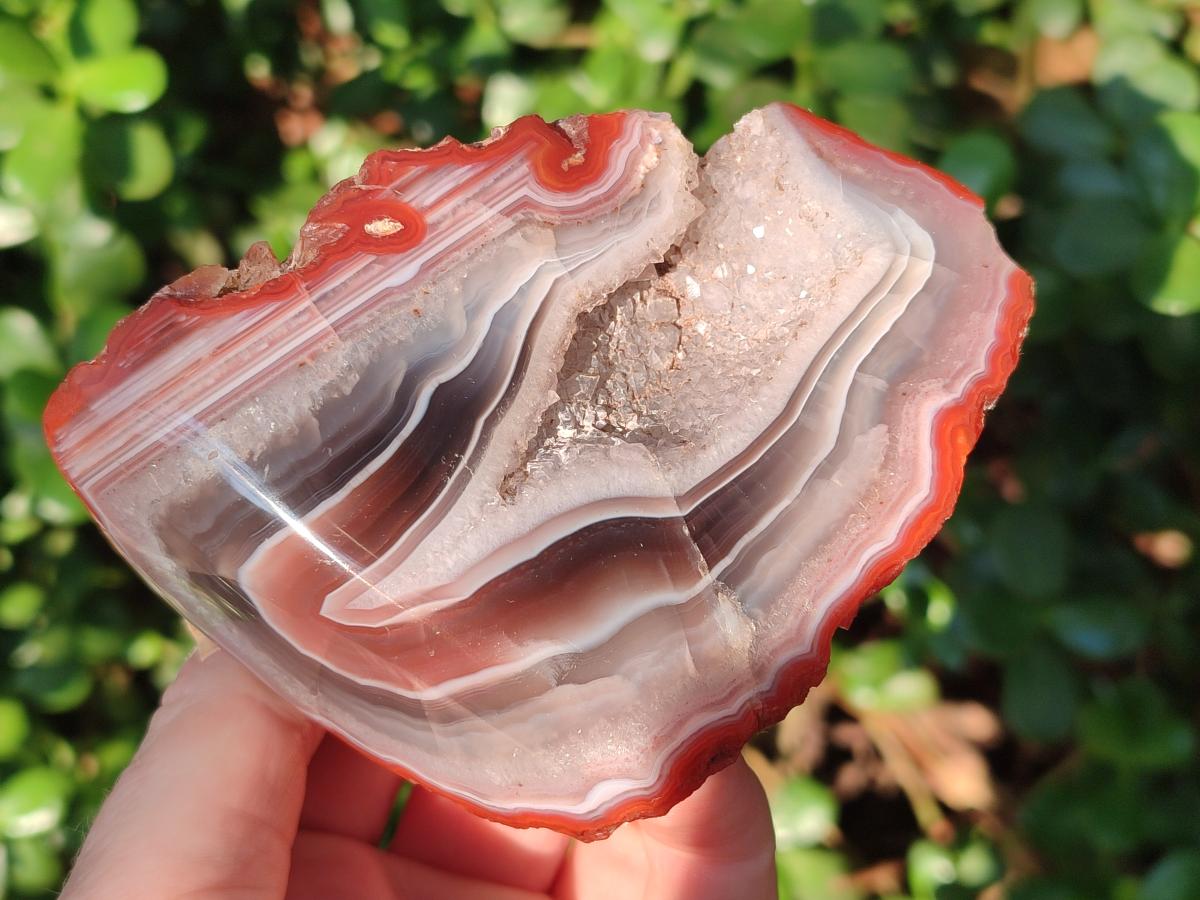 Polished One Side Red Shashe River Agate Nodules x 5 From Shashe River, Zimbabwe - Toprock Gemstones and Minerals 