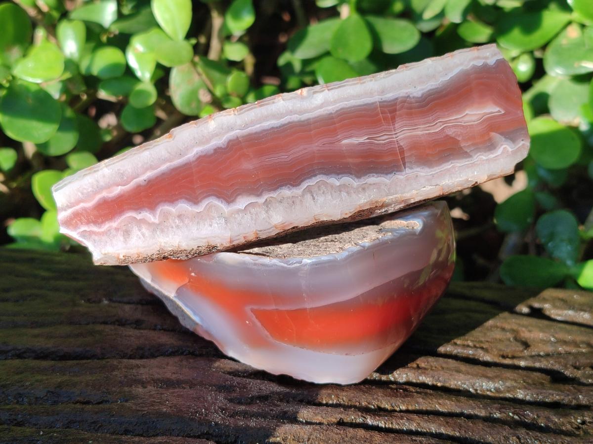 Polished One Side Red Shashe River Agate Nodules x 5 From Shashe River, Zimbabwe - Toprock Gemstones and Minerals 
