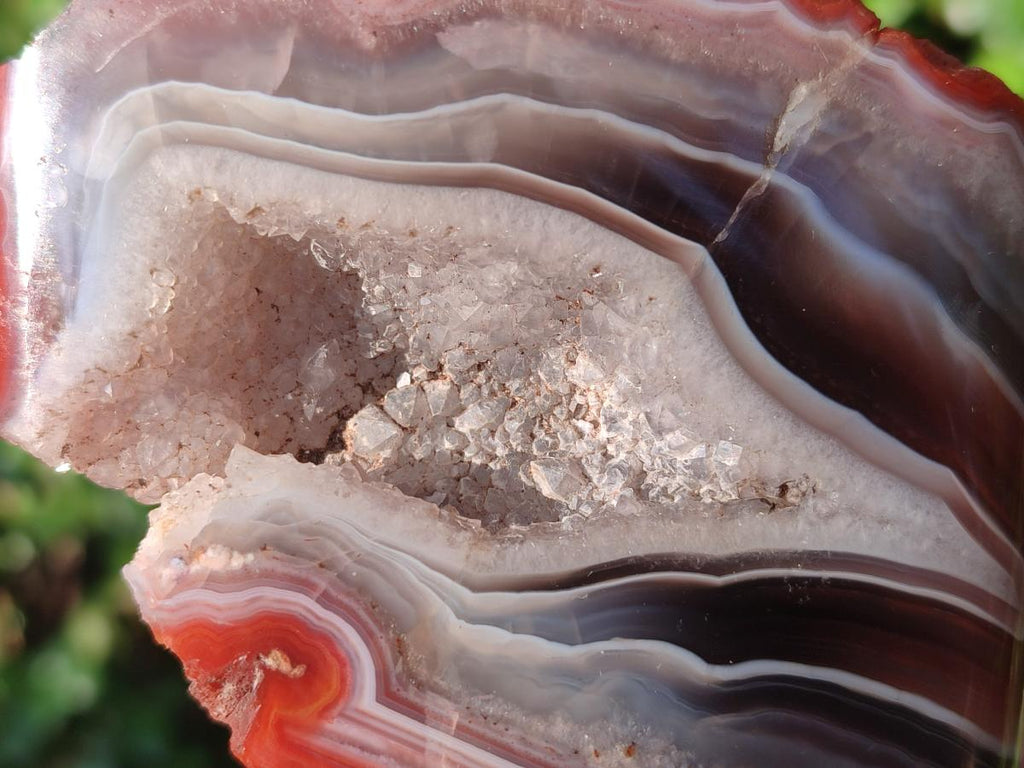 Polished One Side Red Shashe River Agate Nodules x 5 From Shashe River, Zimbabwe - Toprock Gemstones and Minerals 