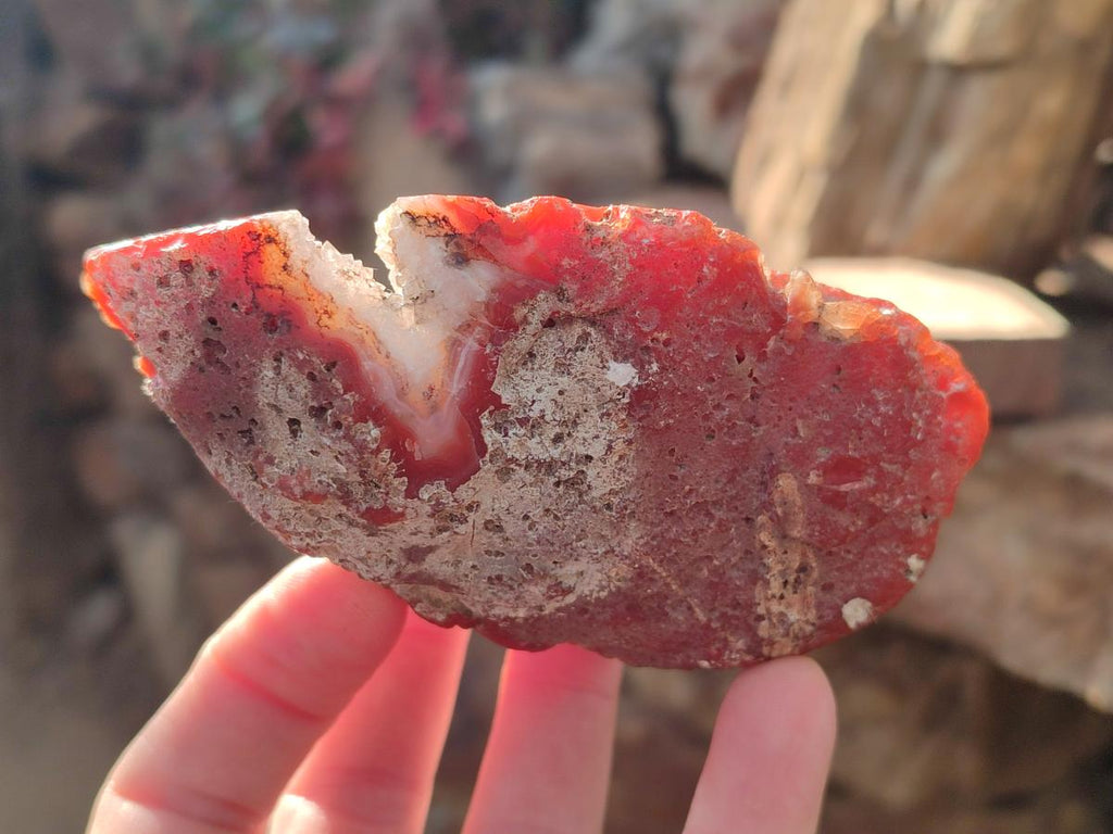 Polished One Side Red Shashe River Agate Nodules x 5 From Shashe River, Zimbabwe - Toprock Gemstones and Minerals 