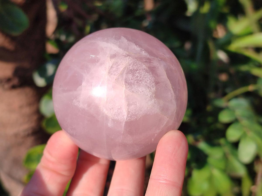 Polished Gemmy Rose Quartz Spheres x 4 From Madagascar - Toprock Gemstones and Minerals 