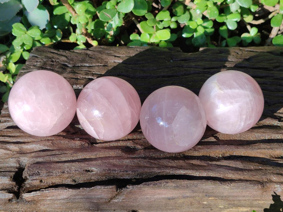 Polished Gemmy Rose Quartz Spheres x 4 From Madagascar - Toprock Gemstones and Minerals 