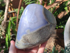 Polished Labradorite Palm Stones x 12 From Madagascar - Toprock Gemstones and Minerals 