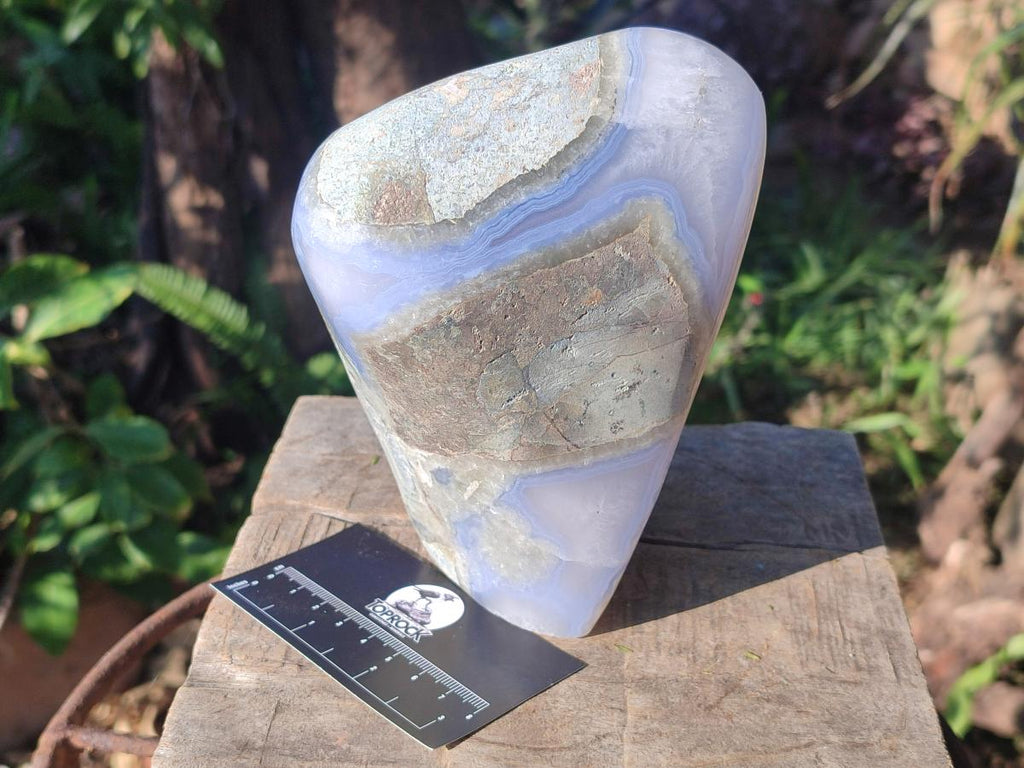 Polished Labradorite Palm Stones x 12 From Madagascar - Toprock Gemstones and Minerals 