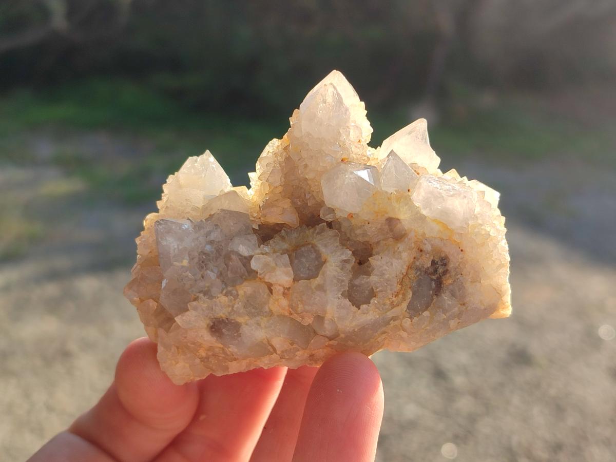 Natural White Spirit Quartz Clusters x 12 From Boekenhouthoek, South Africa - Toprock Gemstones and Minerals 