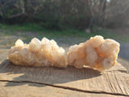 Natural White Spirit Quartz Clusters x 12 From Boekenhouthoek, South Africa - Toprock Gemstones and Minerals 