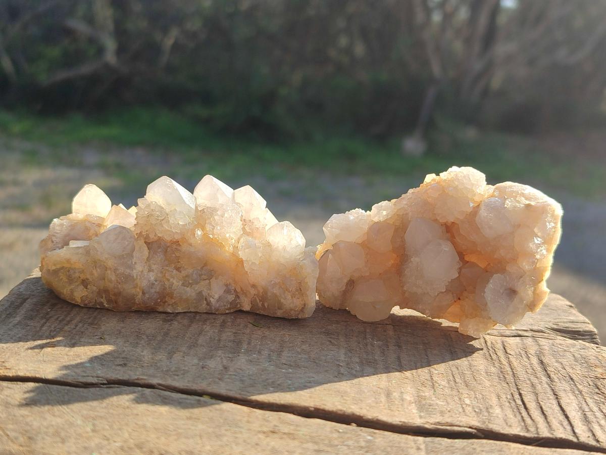 Natural White Spirit Quartz Clusters x 12 From Boekenhouthoek, South Africa - Toprock Gemstones and Minerals 
