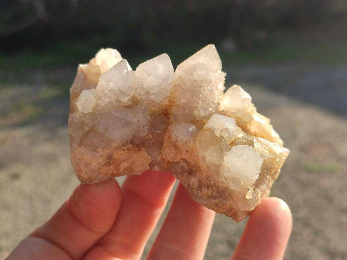Natural White Spirit Quartz Clusters x 12 From Boekenhouthoek, South Africa - Toprock Gemstones and Minerals 