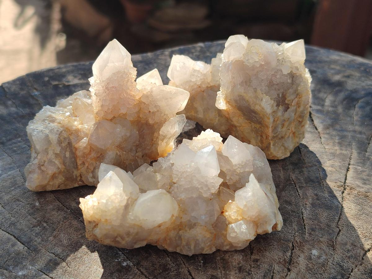 Natural White Spirit Quartz Clusters x 12 From Boekenhouthoek, South Africa - Toprock Gemstones and Minerals 