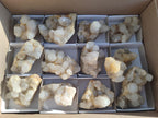 Natural White Spirit Quartz Clusters x 12 From Boekenhouthoek, South Africa - Toprock Gemstones and Minerals 