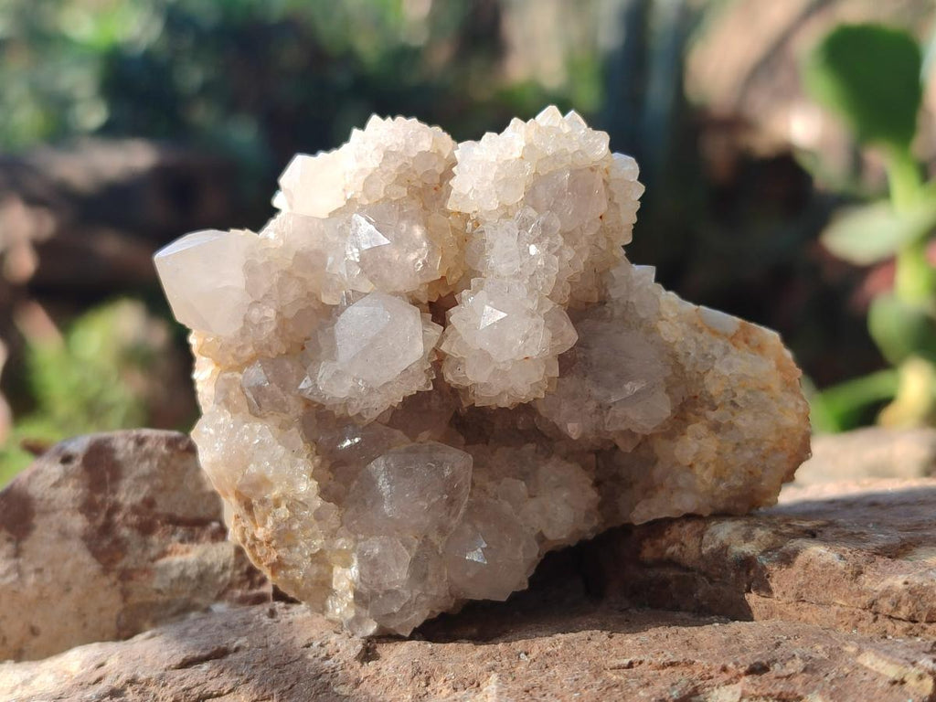 Natural White Spirit Quartz Clusters x 12 From Boekenhouthoek, South Africa - Toprock Gemstones and Minerals 