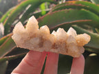 Natural White Spirit Quartz Clusters x 12 From Boekenhouthoek, South Africa - Toprock Gemstones and Minerals 
