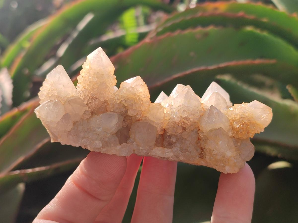 Natural White Spirit Quartz Clusters x 12 From Boekenhouthoek, South Africa - Toprock Gemstones and Minerals 