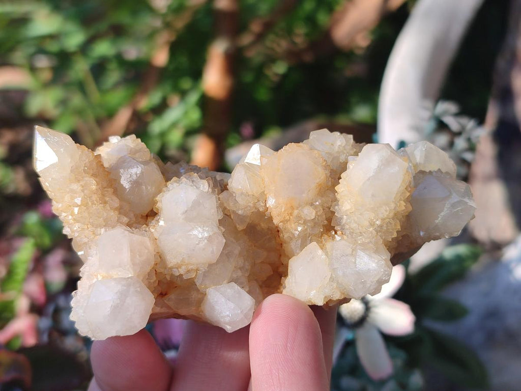 Natural White Spirit Quartz Clusters x 12 From Boekenhouthoek, South Africa - Toprock Gemstones and Minerals 