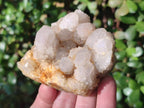 Natural White Spirit Quartz Clusters x 12 From Boekenhouthoek, South Africa - Toprock Gemstones and Minerals 
